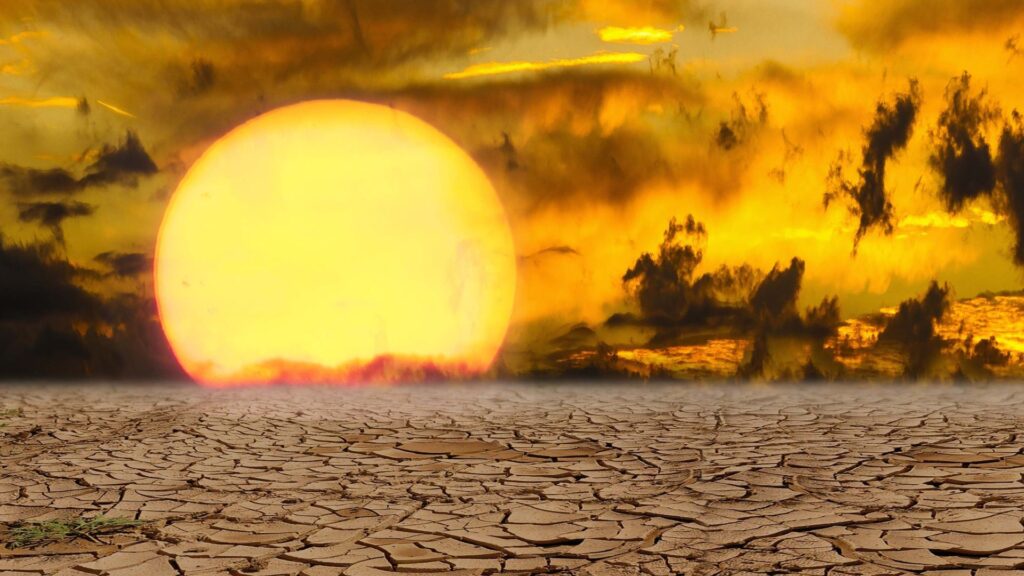 Dużo mówimy, mało robimy – szczyt klimatyczny w Egipcie