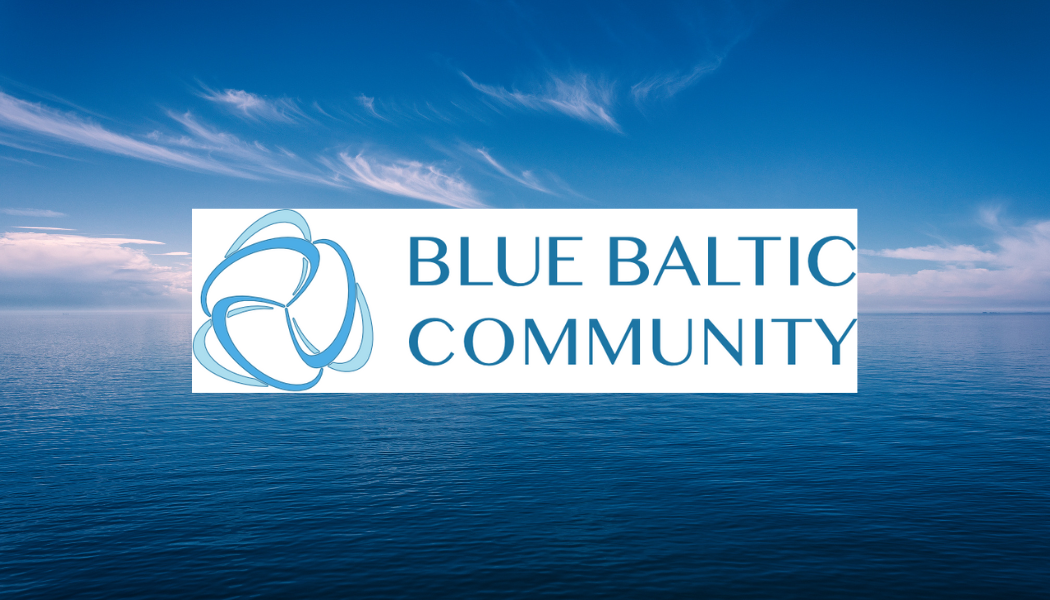 Społeczność Blue Baltic Community utworzyła mapę dostawców Offshore Wind