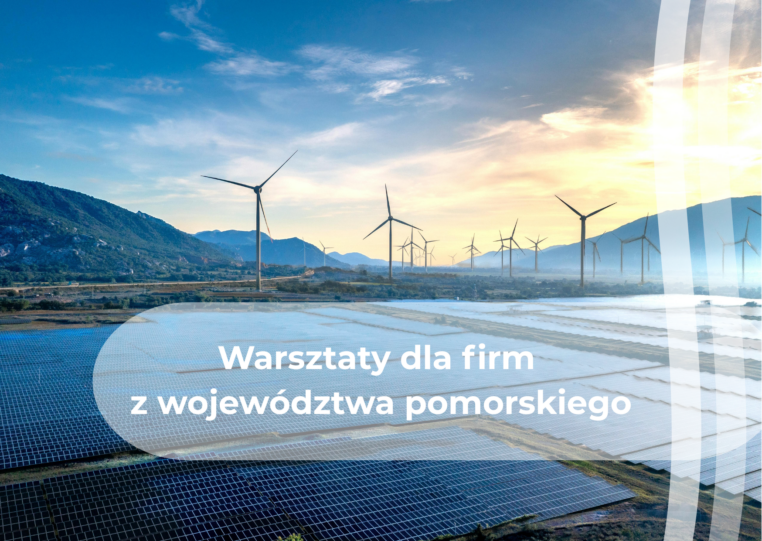 Druga edycja warsztatów dla dostawców sektora offshore wind i energetyki jądrowej